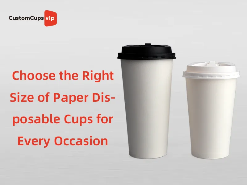 Choose the Right Size of Paper Disposable Cups for Every Occasion