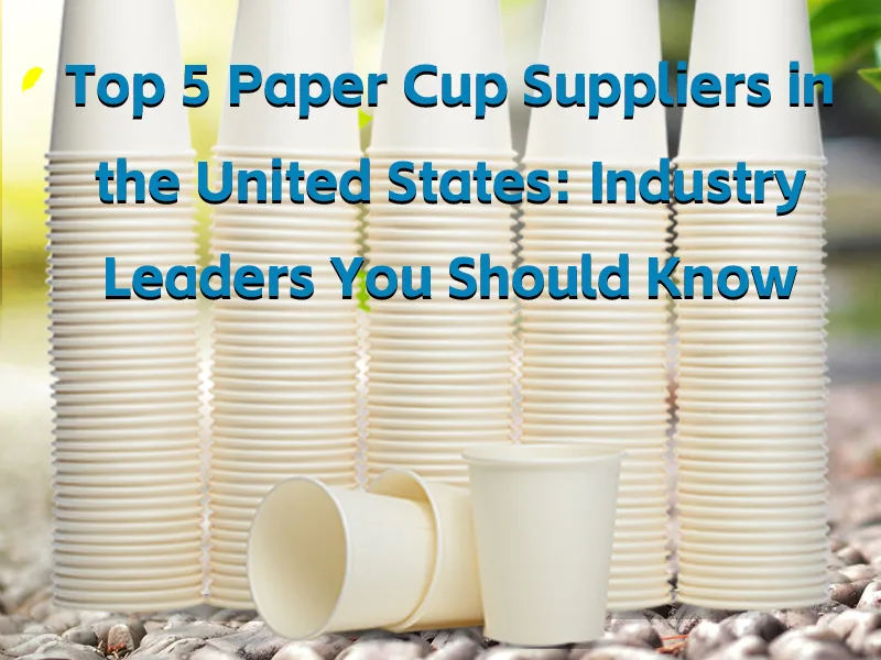 Top 5 Paper Cup Suppliers in the United States Industry Leaders You Should Know