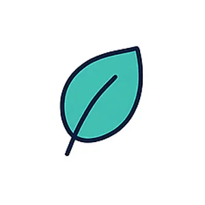 Eco-Friendly Options